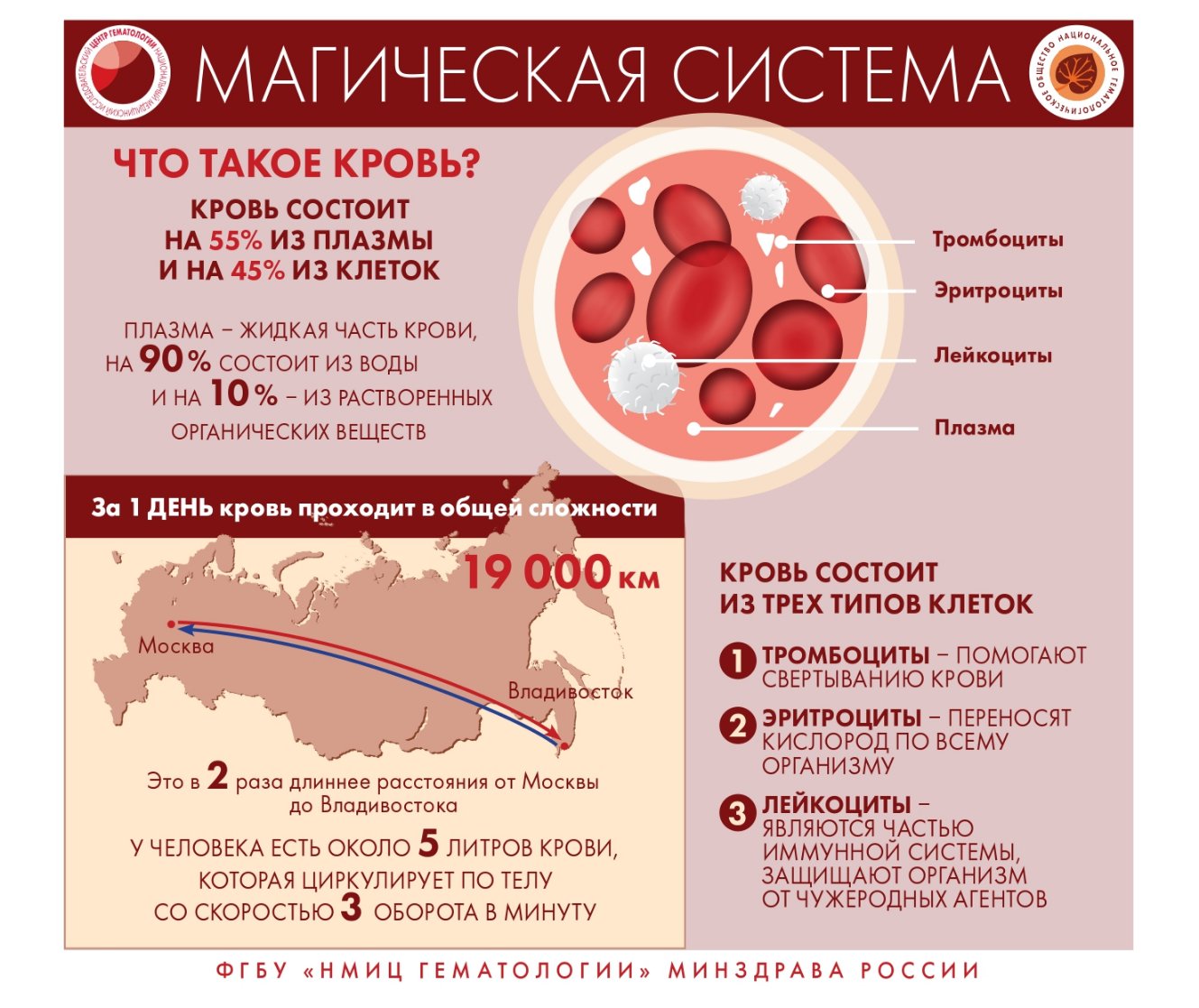 Инфографика page 0004